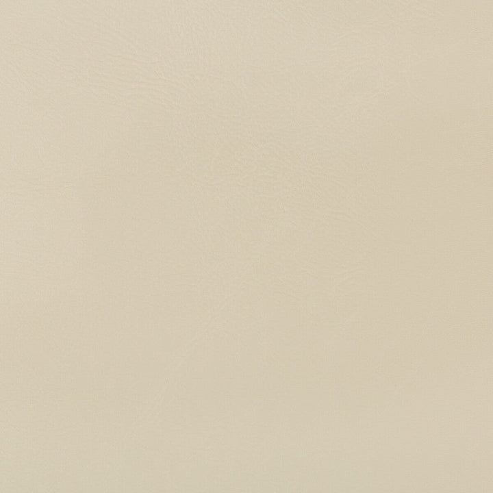 Duane-116 by Kravet Design Designer Fabric POLY VINYL CHLORIDE - 100% Taiwan HEAVY Horizontal: 0 and Vertical: 0 54 - Swanky Fabrics -