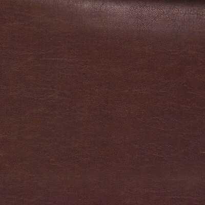 Duane-66 by Kravet Design Fabric - POLY VINYL CHLORIDE - 100% Taiwan HEAVY Horizontal: 0 and Vertical: 0 54 - Fabric Carolina -