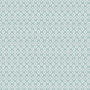 Duluth 2 Aqua by Stout Fabric