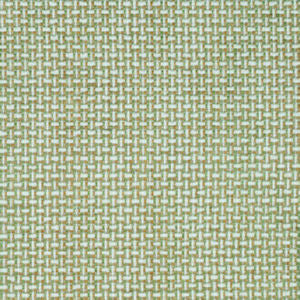 Dumont Green Tea by Norbar Designer Fabric | DUMONT GREEN TEA | 100% POLYESTER | 54" | 3/8"V 3/8"H | India