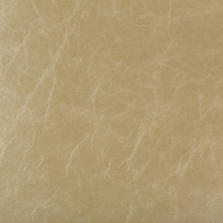 Duncan-16 by Kravet Design Fabric - POLY VINYL CHLORIDE - 100% Taiwan HEAVY Horizontal: 0 and Vertical: 0 54 - Fabric Carolina -