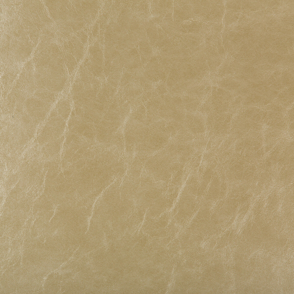 Duncan-16 by Kravet Design Fabric POLY VINYL CHLORIDE - 100% Taiwan HEAVY Horizontal: 0 and Vertical: 0 54 - Fabric Carolina -
