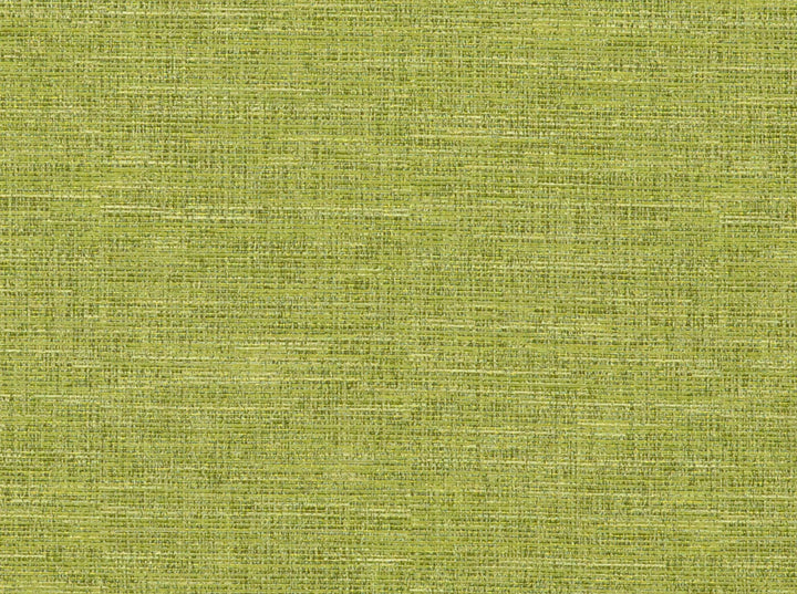 Dundee 26 Caper by Covington Fabric 100% POLY JACQUARD China 65000 Horizontal: 0 and Vertical: 0 57 - Fabric Carolina -