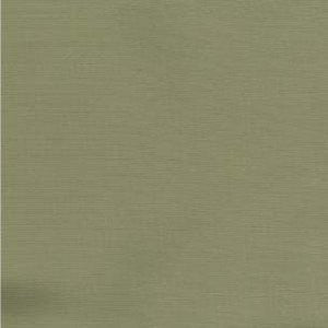 Dune Artichoke 50 by Norbar Fabric DUNE 100% POLYESTER MEXICO 30,000 WYZENBEEK </p><p>Repeat: 54" - Fabric Carolina -