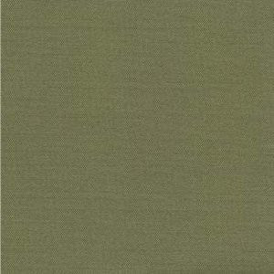 Dune Avocado 505 by Norbar Fabric DUNE 100% POLYESTER MEXICO 30,000 WYZENBEEK </p><p>Repeat: 54" - Fabric Carolina -