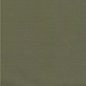 Dune Bamboo 555 by Norbar Fabric DUNE 100% POLYESTER MEXICO 30,000 WYZENBEEK </p><p>Repeat: 54" - Fabric Carolina -