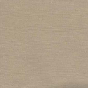 Dune Buff 17 by Norbar Fabric Color/BEIGE 100% POLYESTER MEXICO 30,000 WYZENBEEK 54" - Fabric Carolina -