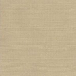 Dune Chamois 19 by Norbar Fabric DUNE 100% POLYESTER MEXICO 30,000 WYZENBEEK </p><p>Repeat: 54" - Fabric Carolina -