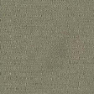 Dune Patina 518 by Norbar Fabric DUNE 100% POLYESTER MEXICO 30,000 WYZENBEEK </p><p>Repeat: 54" - Fabric Carolina -