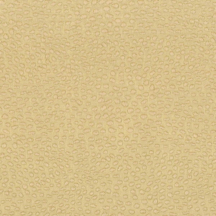 Duomo 1 Honey by Stout Fabric RAINBOW LIBRARY HONEY/CHARDONNAY 100%POL INDIA FLAME RETARDANT-CA BULLETIN 117-SECTION E FLAME RETARDANT-N.F.P.A. 260A CLASS 1 WYZENBEEK 30 000 DOUBLE RUB WEAR TEST (HEAVY DUTY) </p><p>Repeat: 0 54 in - Fabric Carolina -
