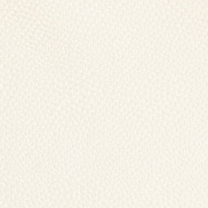 Duomo 2 Cream by Stout Fabric RAINBOW LIBRARY VANILLA/PARCHMENT 100%POL INDIA FLAME RETARDANT-CA BULLETIN 117-SECTION E FLAME RETARDANT-N.F.P.A. 260A CLASS 1 WYZENBEEK 30 000 DOUBLE RUB WEAR TEST (HEAVY DUTY) </p><p>Repeat: 0 54 in - Fabric Carolina -
