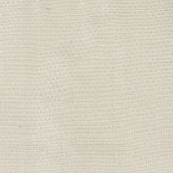 Dupioni 10 Shell by Stout Fabric DUPIONI SILK 100%SLK INDIA Horizontal: 0.000 and Vertical: 0.000 54 in - Fabric Carolina -