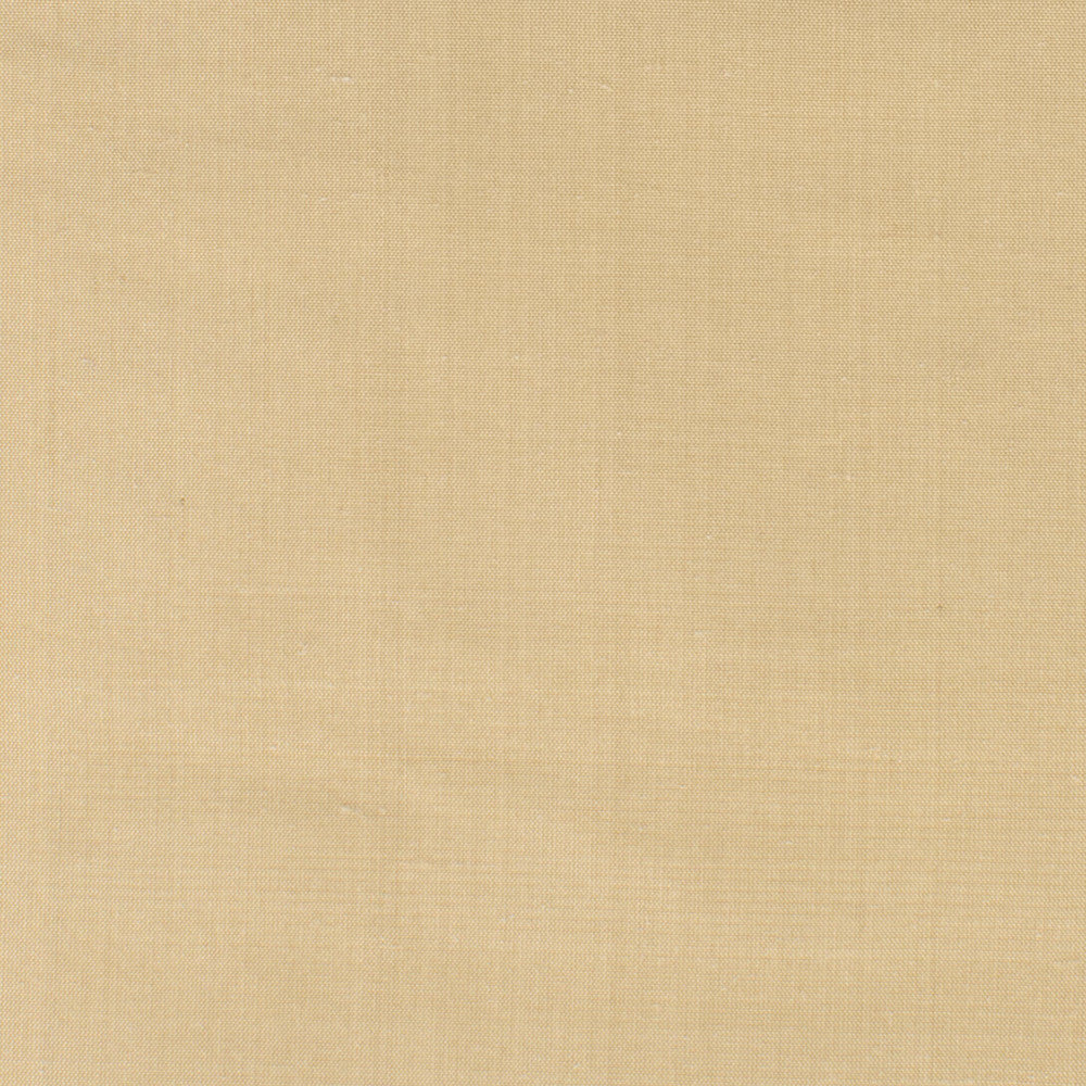Dupioni 17 Chamois by Stout Fabric Stout Fabric Dupioni 17 ChamoisFabric DUPIONI SILK INDIA </p><p>Repeat: H: 0.000, V: 0.000 54 in - Fabric Carolina -