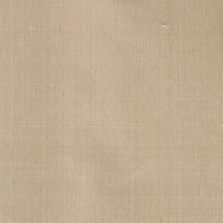 Dupioni 19 Twig by Stout Fabric DUPIONI SILK 100%SLK INDIA Horizontal: 0.000 and Vertical: 0.000 54 in - Fabric Carolina -