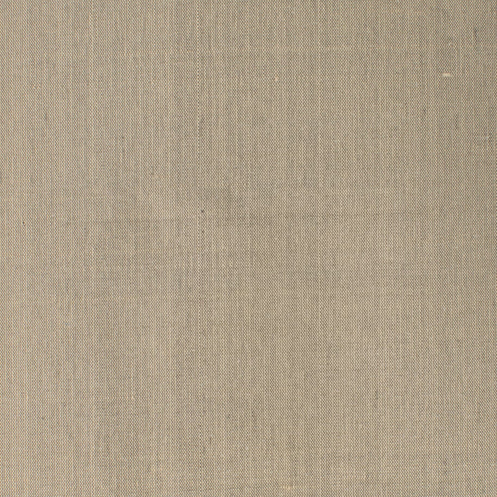 Dupioni 20 Sesame by Stout Fabric DUPIONI SILK 100%SLK INDIA Horizontal: 0.000 and Vertical: 0.000 54 in - Fabric Carolina -