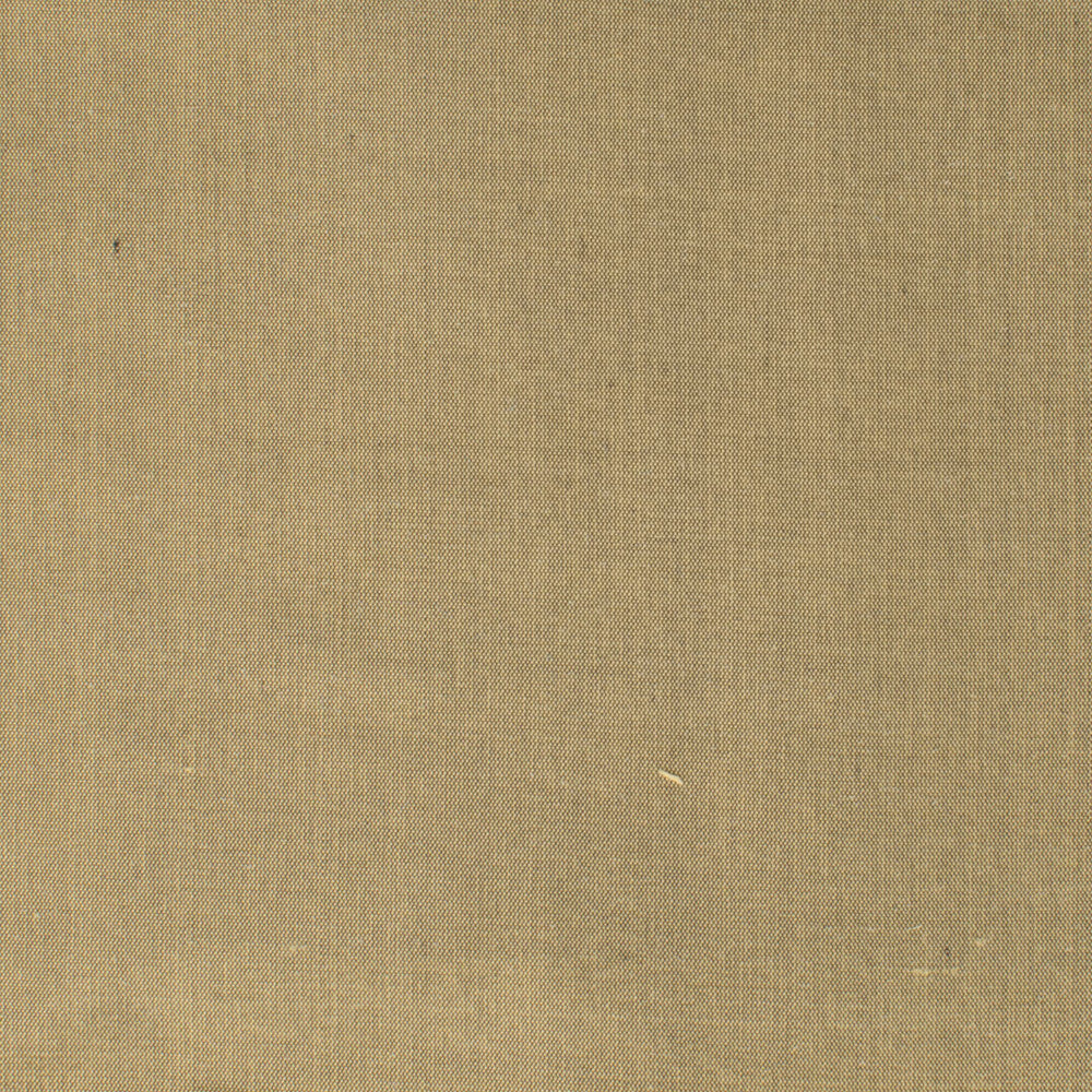 Dupioni 21 Truffle by Stout Fabric Stout Fabric Dupioni 21 TruffleFabric Dupioni Silk 100%Slk India </p><p>Repeat: H: 0, V: 0 54 in - Fabric Carolina -