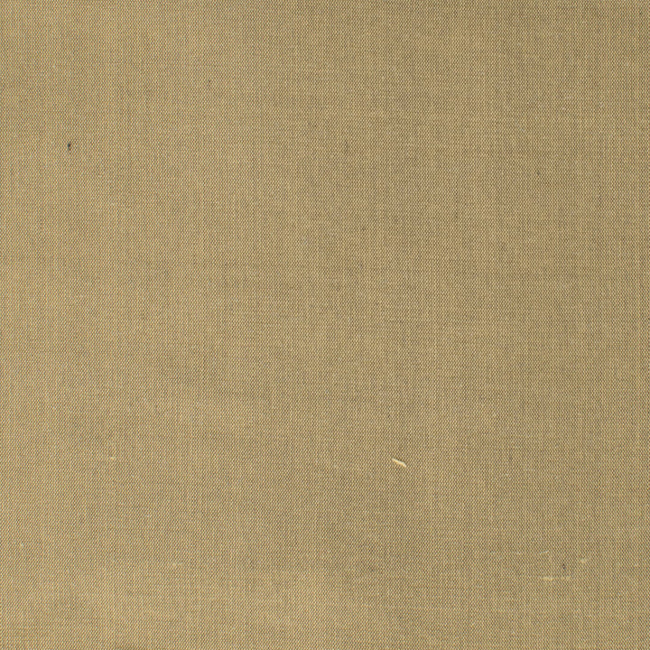 Dupioni 21 Truffle by Stout Fabric Stout Fabric Dupioni 21 TruffleFabric DUPIONI SILK 100%SLK INDIA </p><p>Repeat: H: 0.000, V: 0.000 54 in - Fabric Carolina -