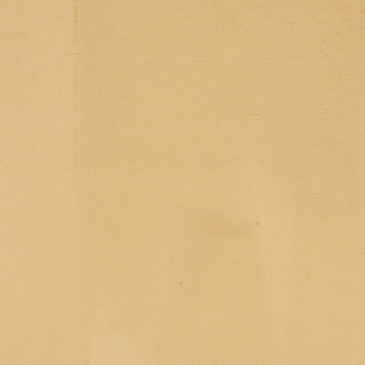Dupioni 26 Cornhusk by Stout Designer Fabric DUPIONI SILK 100%SLK INDIA MARTINDALE WEAR TEST (50 000 CIRCULAR RUBS) Horizontal: 0.000 and Vertical: 0.000 54 in - Swanky Fabrics -
