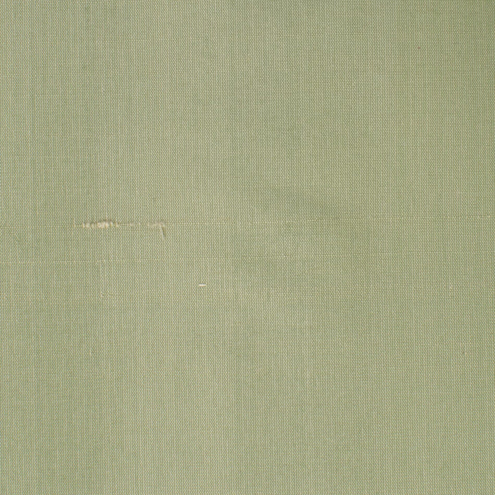 Dupioni 33 Balsam by Stout Fabric DUPIONI SILK 100%SLK INDIA Horizontal: 0.000 and Vertical: 0.000 54 in - Fabric Carolina -