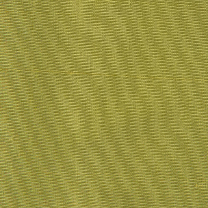 Dupioni 35 Pistachio by Stout Fabric Stout Fabric Dupioni 35 PistachioFabric DUPIONI SILK INDIA </p><p>Repeat: H: 0.000, V: 0.000 54 in - Fabric Carolina -