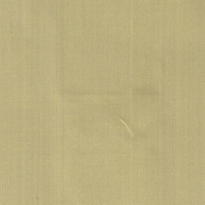 Dupioni 36 Antique by Stout Fabric Stout Fabric Dupioni 36 AntiqueFabric DUPIONI SILK 100%SLK INDIA </p><p>Repeat: H: 0.000, V: 0.000 54 in - Fabric Carolina -