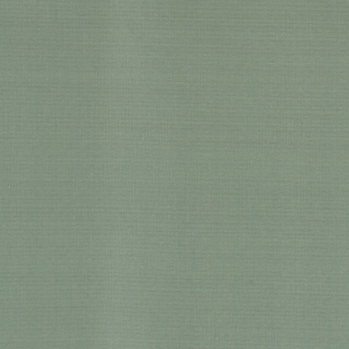 Dupioni 40 Dewkist by Stout Fabric Stout Fabric Dupioni 40 DewkistFabric DUPIONI SILK INDIA </p><p>Repeat: H: 0.000, V: 0.000 54 in - Fabric Carolina -