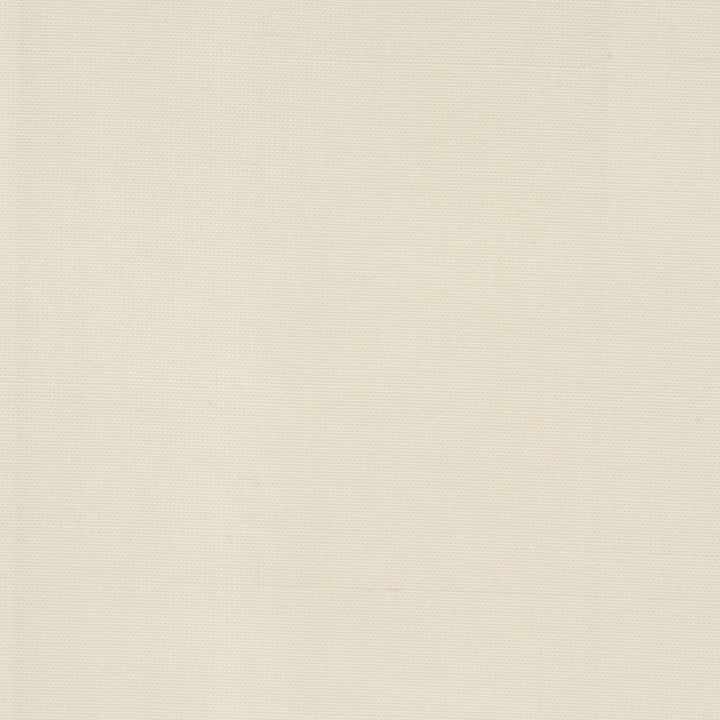 Dupioni 6 Ecru by Stout Fabric DUPIONI SILK 100%SLK INDIA MARTINDALE WEAR TEST (45 000 CIRCULAR RUBS) Horizontal: 0.000 and Vertical: 0.000 54 in - Fabric Carolina -
