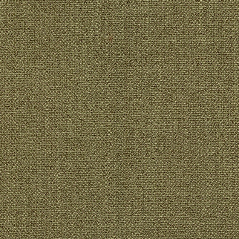 Dupree Fern by Magnolia Fabric - 100% Poly China 60000 Horizontal: 0 and Vertical: 0 55" - Fabric Carolina -