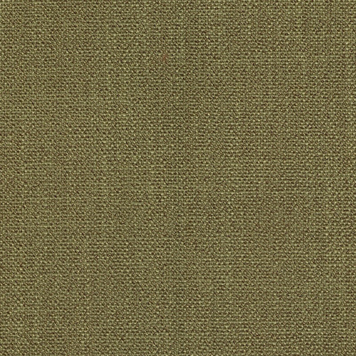Dupree Fern by Magnolia Fabric - 100% Poly China 60000 Horizontal: 0 and Vertical: 0 55" - Fabric Carolina -