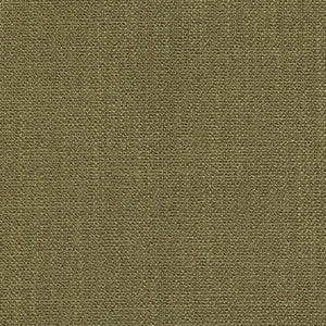 Dupree Fern by Magnolia Fabric