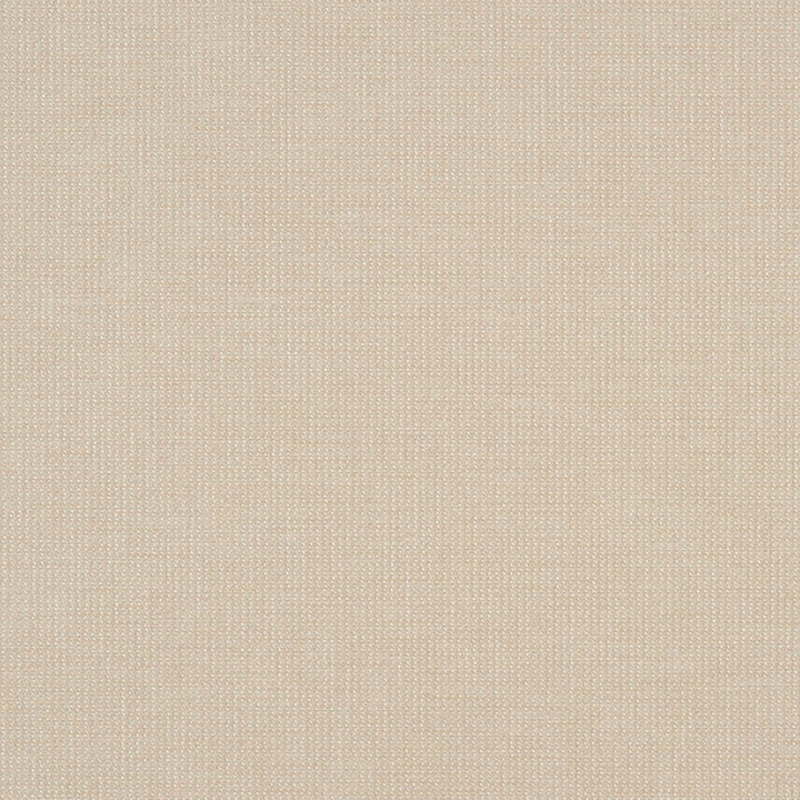 Dustin 92J7031 by JF Crypton Designer Fabric Crypton Binder 100% Polyester United States 50000 Horizontal: and Vertical: 54 - Swanky Fabrics -