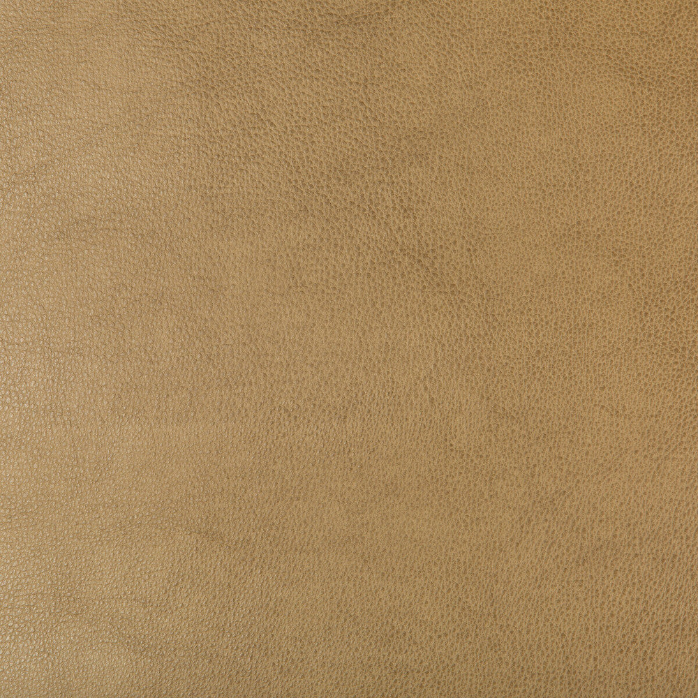 Dust-106 by Kravet Design Fabric POLYURETHANE - 100% China HEAVY Horizontal: and Vertical: 54 - Fabric Carolina -