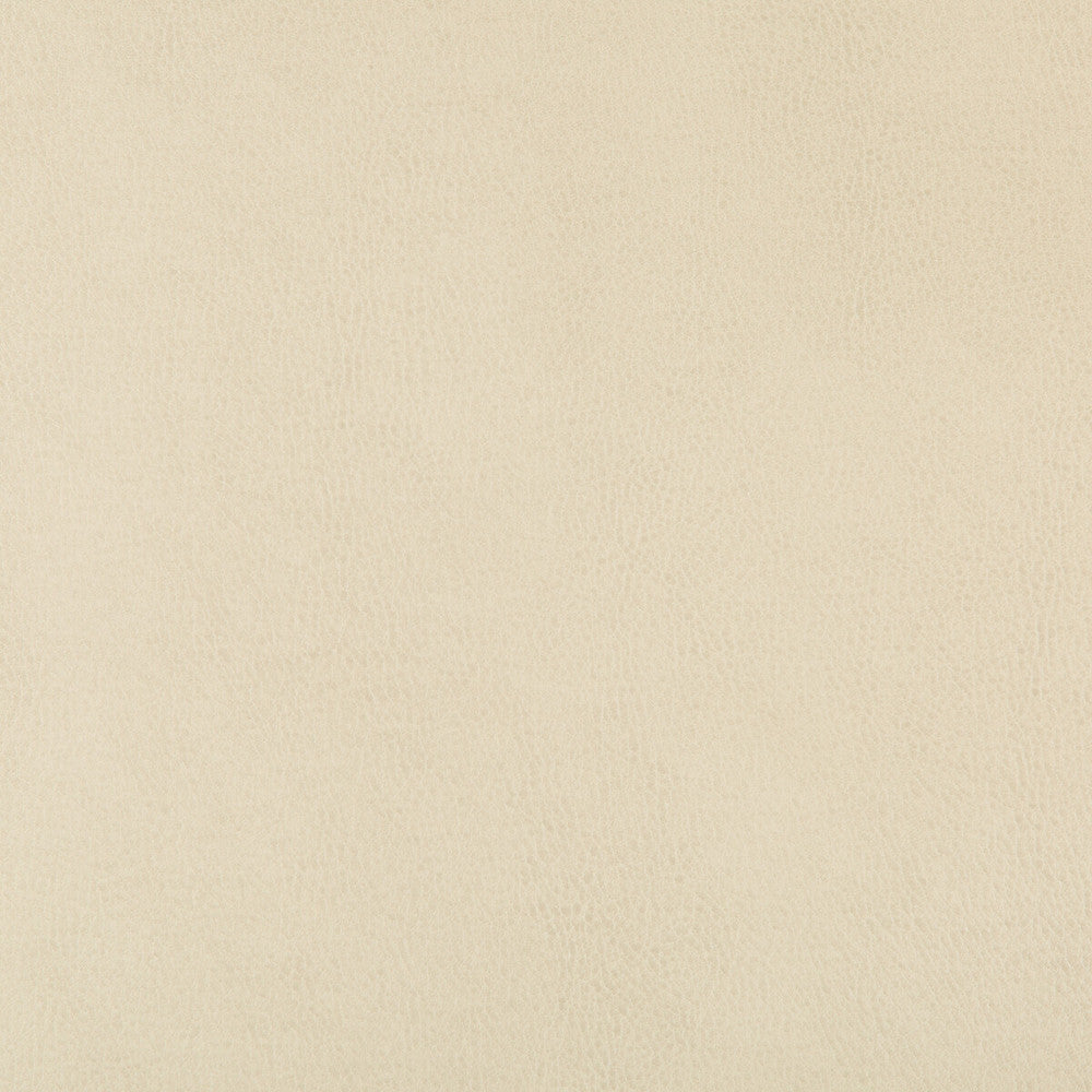 Dust-116 by Kravet Design Designer Fabric POLYURETHANE - 100% China HEAVY Horizontal: and Vertical: 54 - Swanky Fabrics -