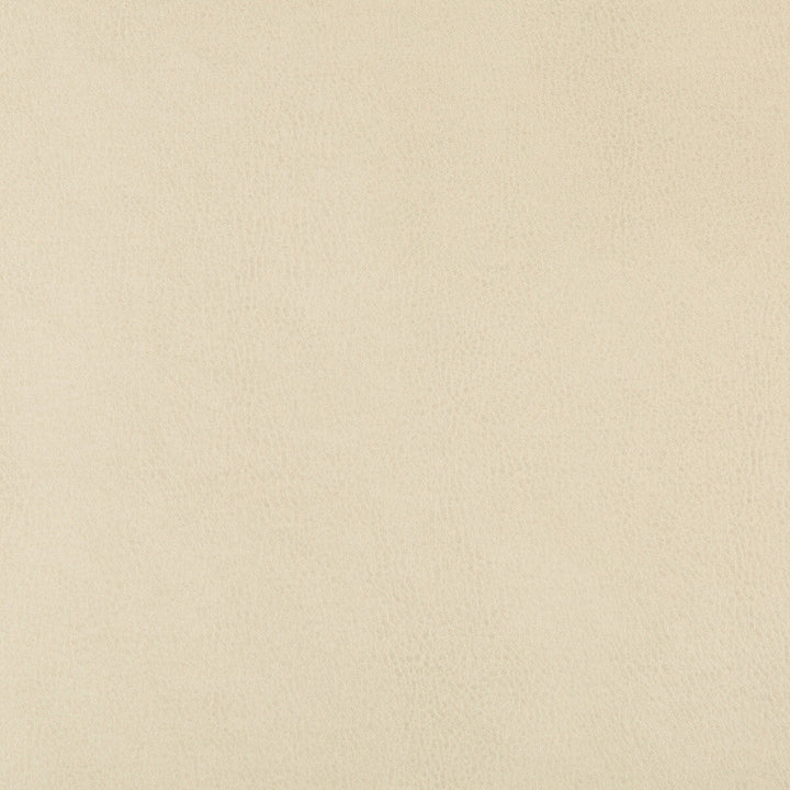 Dust-116 by Kravet Design Designer Fabric POLYURETHANE - 100% China HEAVY Horizontal: and Vertical: 54 - Swanky Fabrics -