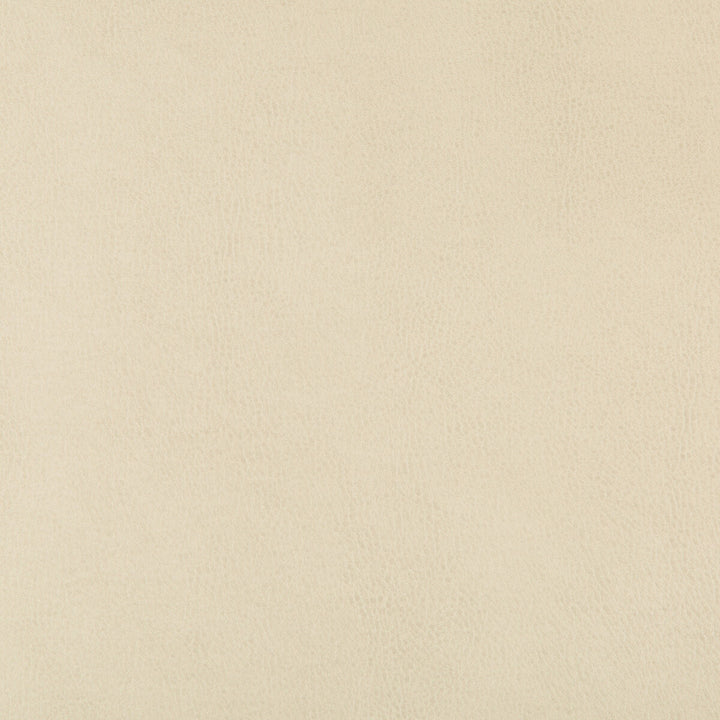 Dust-116 by Kravet Design Fabric POLYURETHANE - 100% China HEAVY Horizontal: and Vertical: 54 - Fabric Carolina -