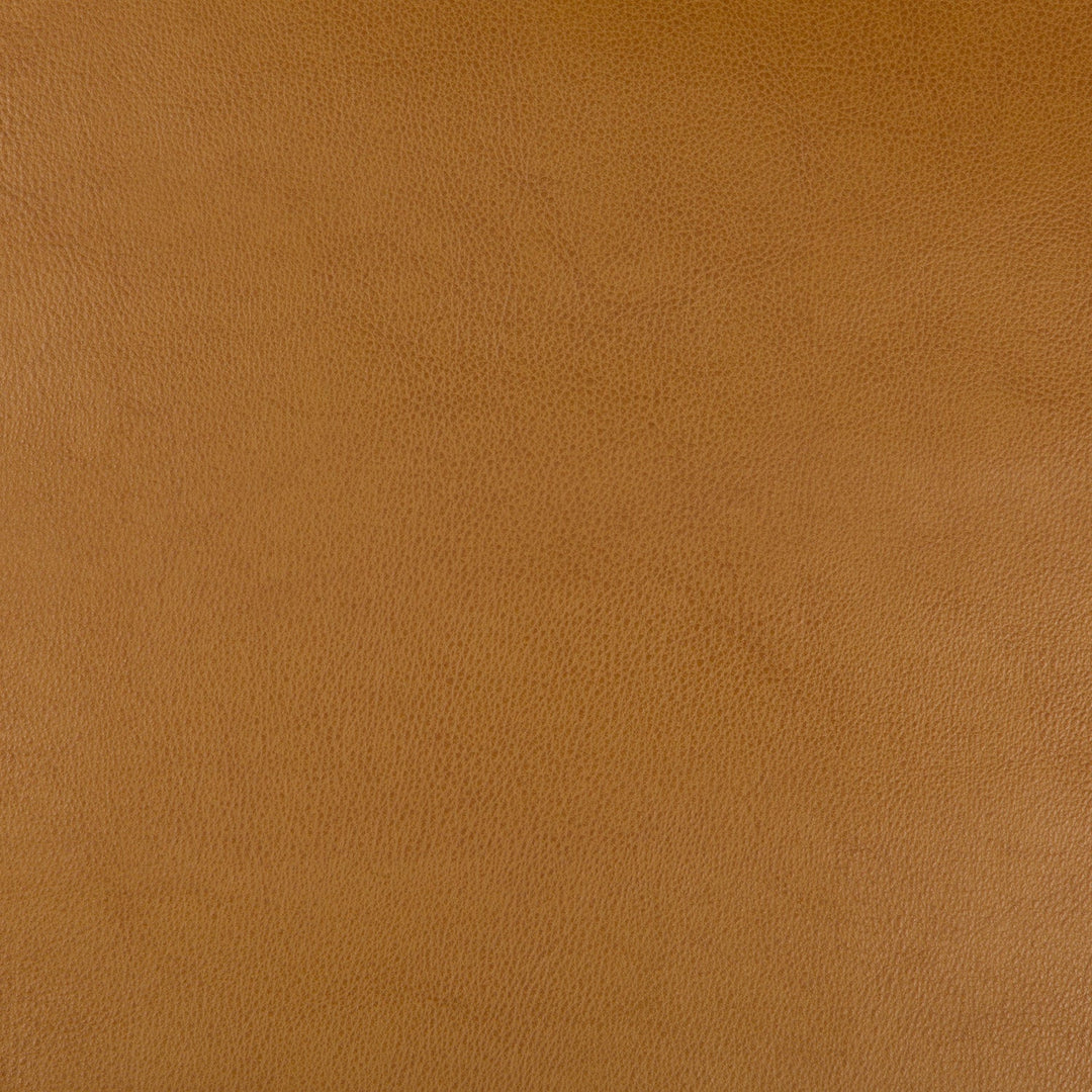 Fera - Adobe By Kravet Basics Fabric