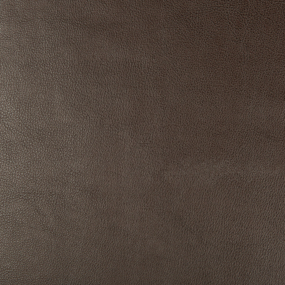 Dust-66 by Kravet Design Fabric POLYURETHANE - 100% China HEAVY Horizontal: and Vertical: 54 - Fabric Carolina -