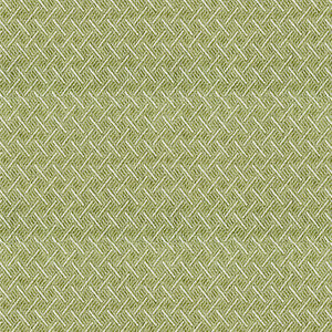 McKay 205 Grass by ABBEYSHEA Fabric