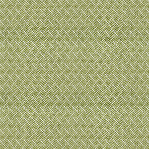McKay 205 Grass by ABBEYSHEA Fabric