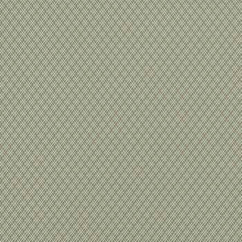 Diamante Sage DIA-6605 by Spradling Fabric See sample 100% Vinyl USA or Imported Water-based cleaning agents and foam may be used for cleaning. Cleaning by a professional cleaning service is recommended. 54 - Fabric Carolina -