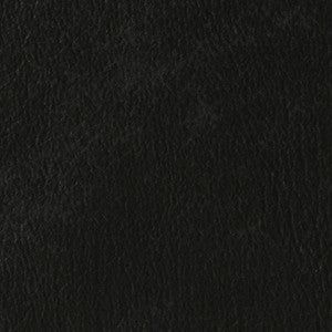 Dolphin Blackwatch DOL 87 by Naugahyde Fabric