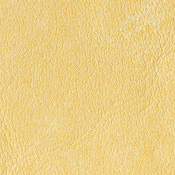 Dolphin Citrus DOL 78 by Naugahyde Fabric See sample 100% Vinyl USA or Imported Water-based cleaning agents and foam may be used for cleaning. Cleaning by a professional cleaning service is recommended. </p><p>Repeat: Horizontal: and Vertical: 54" - Fabric Carolina -