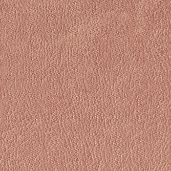 Dolphin Mauve/Rose DOL 93 by Naugahyde Fabric See sample 100% Vinyl USA or Imported Water-based cleaning agents and foam may be used for cleaning. Cleaning by a professional cleaning service is recommended. </p><p>Repeat: Horizontal: and Vertical: 54" - Fabric Carolina -