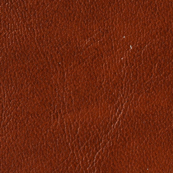 Dolphin Terra Cotta DOL 89 by Naugahyde Fabric See sample 100% Vinyl USA or Imported Water-based cleaning agents and foam may be used for cleaning. Cleaning by a professional cleaning service is recommended. </p><p>Repeat: Horizontal: and Vertical: 54" - Fabric Carolina -