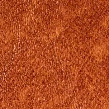 Dolphin Walnut DOL 77 by Naugahyde Fabric our website for purchase 100% Vinyl USA or Asia Water-based cleaning agents and foam may be used for cleaning. Cleaning by a professional cleaning service is recommended. Horizontal: - and Vertical: - 54" - Fabric Carolina -
