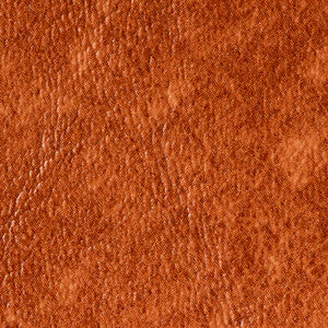 Dolphin Walnut DOL 77 by Naugahyde Fabric