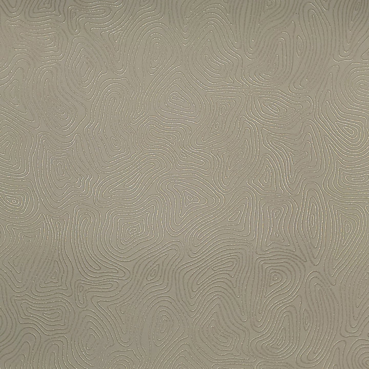 Vinyl Library Draconids Oyster by Europatex Fabric Vinyl Library 40% Polyester, 55% pvc, 5% PU 55.00 inches - Fabric Carolina -