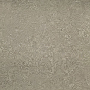 Vinyl Library Draconids Oyster by Europatex Fabric