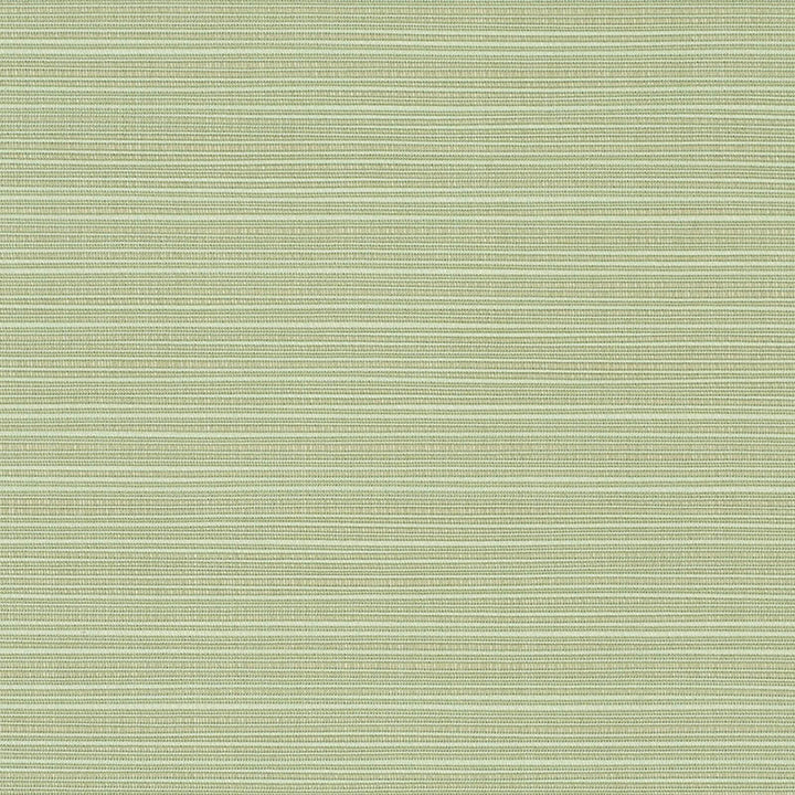 8068 Dupione Aloe by Sunbrella Fabric Cushion Furniture Drapery Fabrics > Sunbrella Specialty Weaves 100% Acrylic USA or Imported n/a 54" - Fabric Carolina -