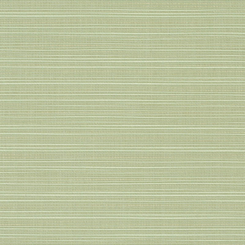 8068  Dupione Aloe by Sunbrella Fabric our website for purchase 100% Sunbrella Acrylic USA (see sample) n/a 54"  - Fabric Carolina -
